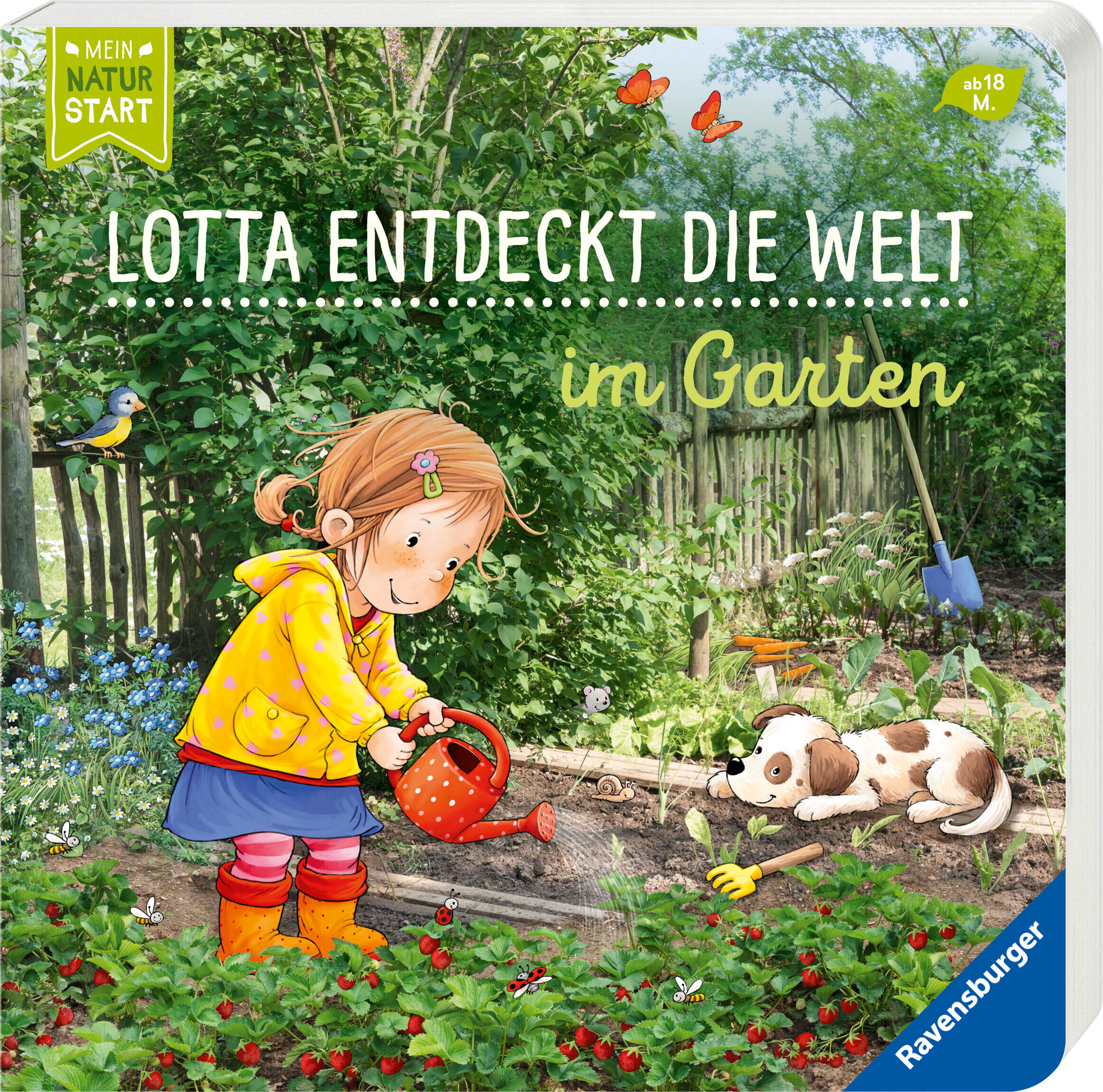 lesen