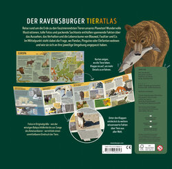 Backcover