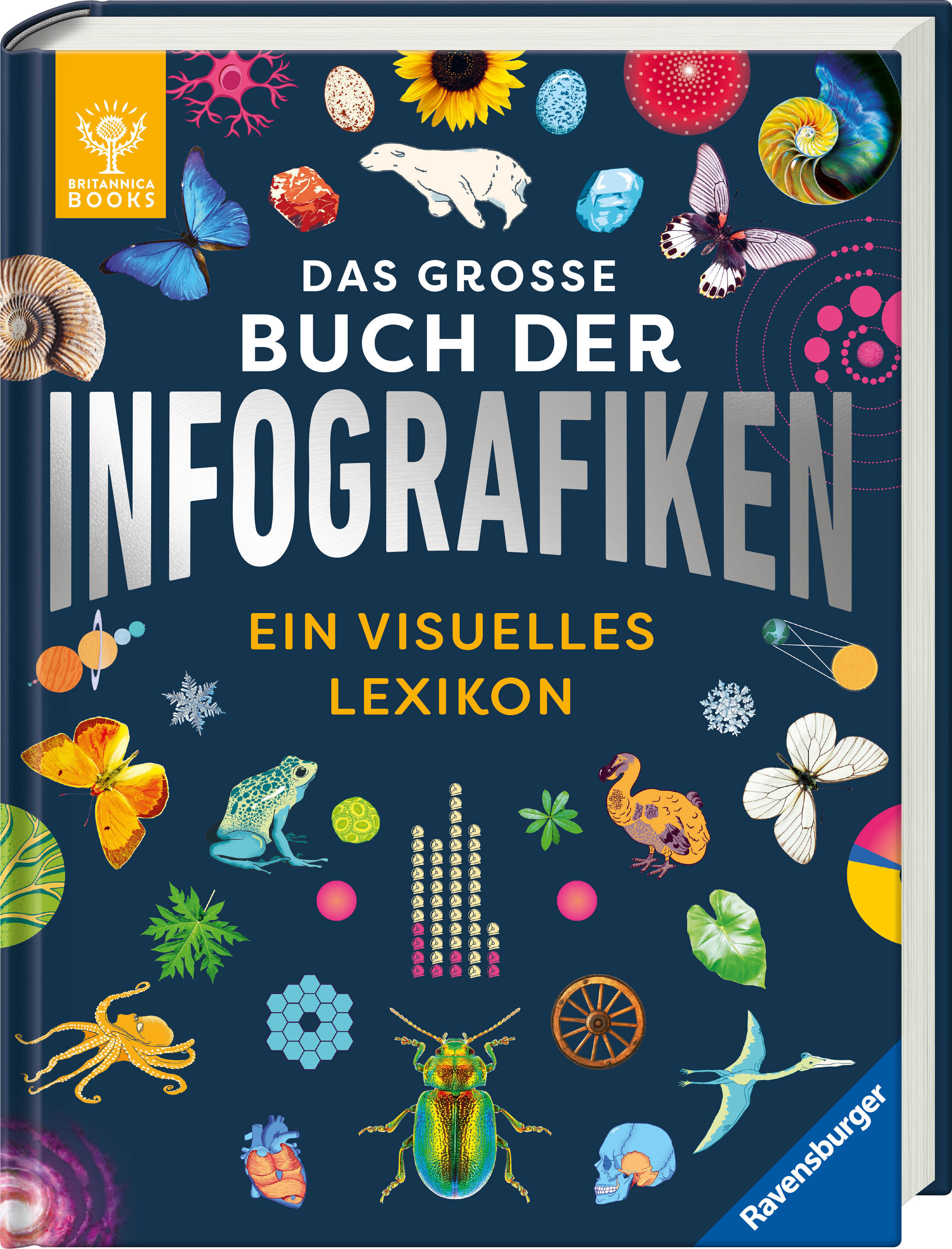 lesen