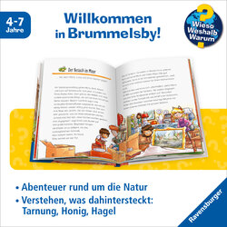 Innenansicht 1