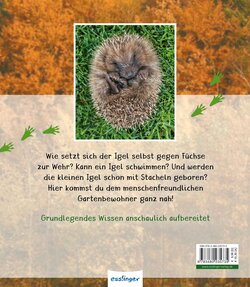 Backcover