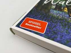 Innenansicht 3