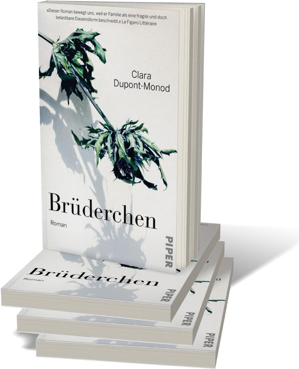 lesen