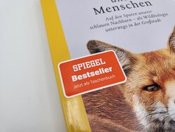 Innenansicht 3