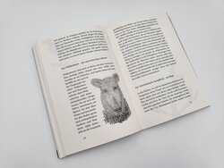 Innenansicht 7