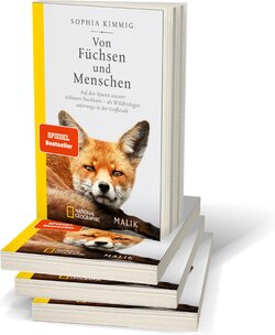 Innenansicht 10