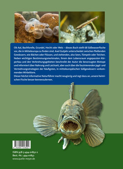 Backcover
