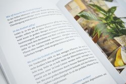 Innenansicht 2