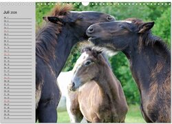 Innenansicht 9