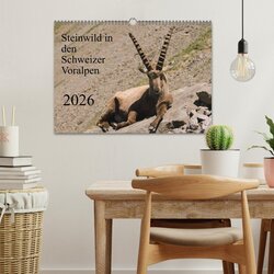 Innenansicht 2