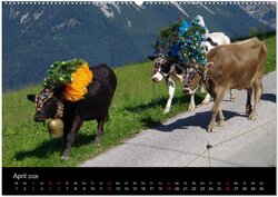 Innenansicht 6