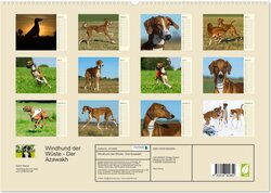 Innenansicht 1