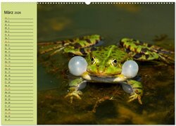 Innenansicht 4