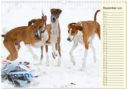 Innenansicht 14