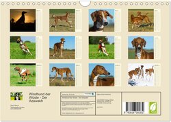 Innenansicht 1
