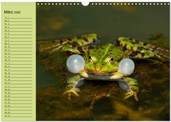 Innenansicht 5