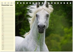 Innenansicht 14