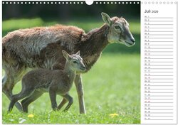 Innenansicht 9
