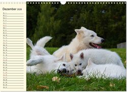 Innenansicht 14