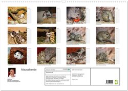 Innenansicht 1