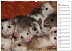 Innenansicht 13
