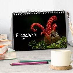 Innenansicht 2