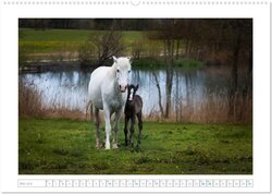 Innenansicht 6