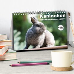 Innenansicht 2