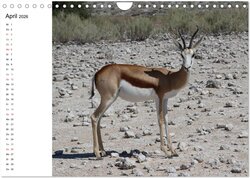 Innenansicht 6