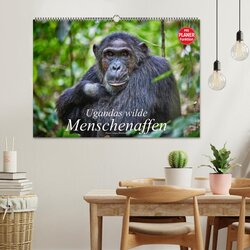 Innenansicht 2