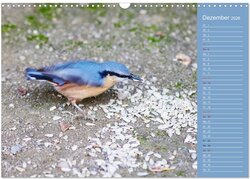 Innenansicht 14