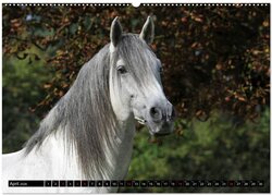 Innenansicht 6