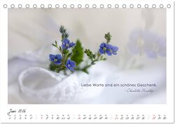 Innenansicht 8