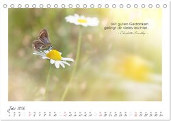 Innenansicht 9