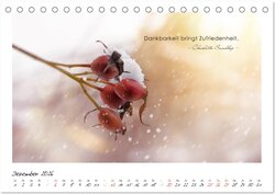 Innenansicht 14