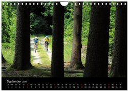 Innenansicht 11