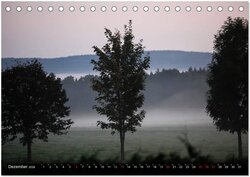 Innenansicht 14