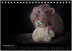 Innenansicht 13