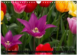 Innenansicht 7
