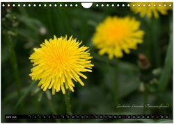 Innenansicht 8