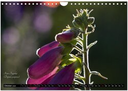 Innenansicht 12