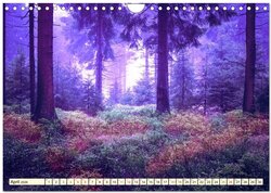 Innenansicht 6