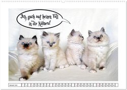 Innenansicht 2