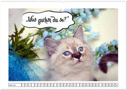 Innenansicht 5