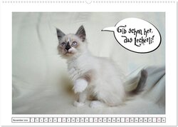 Innenansicht 12