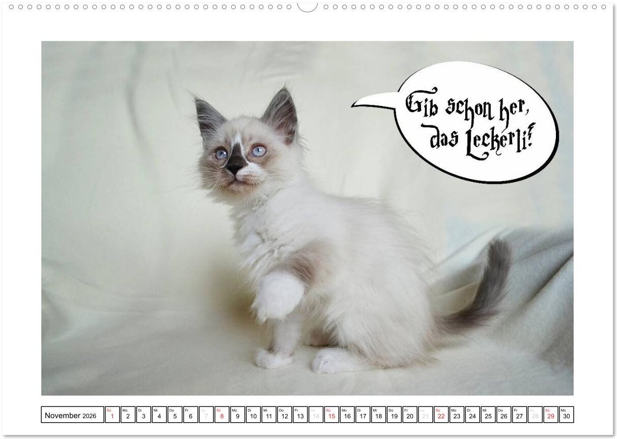 lesen