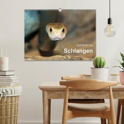 Innenansicht 2