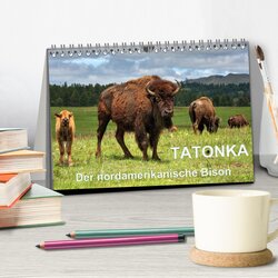 Innenansicht 2