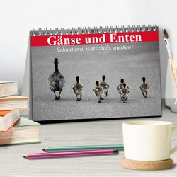 Innenansicht 2