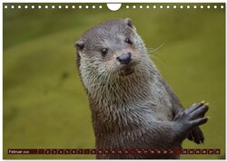 Innenansicht 4
